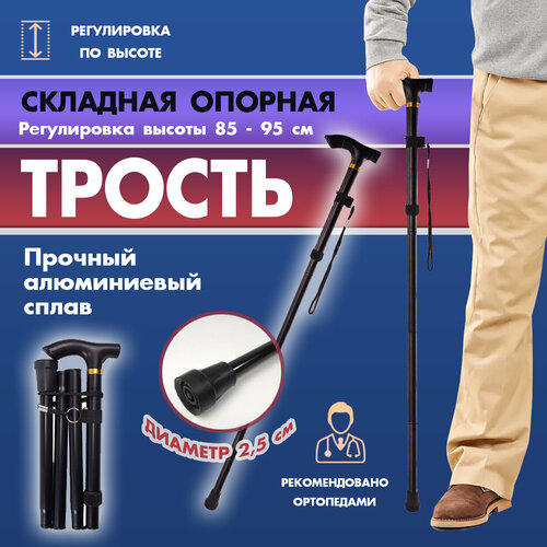 ������ ������ ������ ������� ��� ������ �������� ����