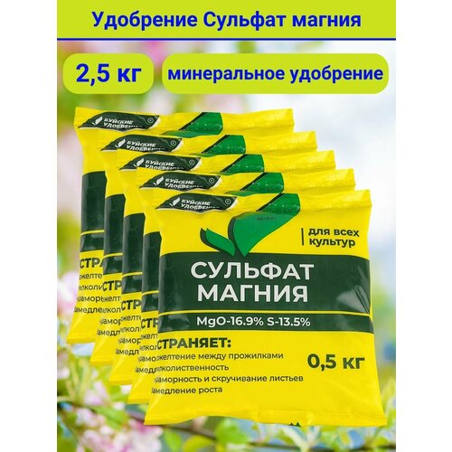 ������ ������ ��������� ������� ������, 2,5 ��. - 5 ��������, 1 �������� - 500 ����� ����