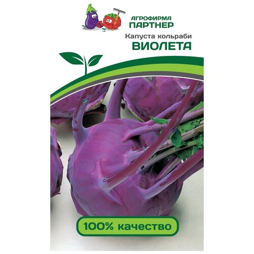 ������ ������ ������� ������� �������� 