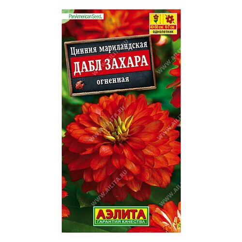 ������ ������ ������. ������ 