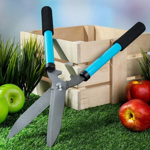 ������ ������ ������ �������� ������� ������� 500 �� ��� �����, Grandy ����