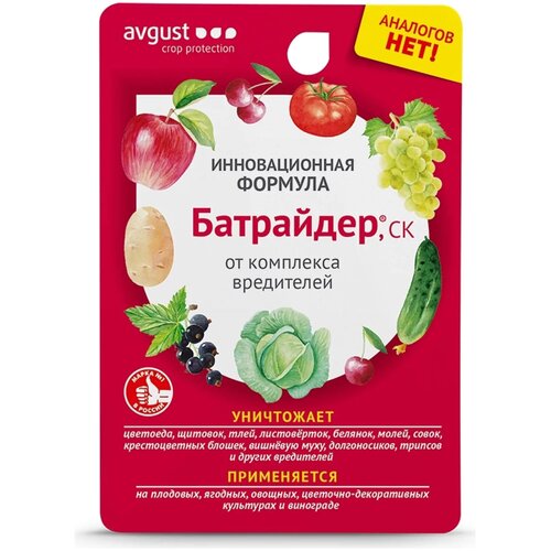 ������ ������ Avgust �������� �� ���������� ���������, 10 ��, 10 � ����