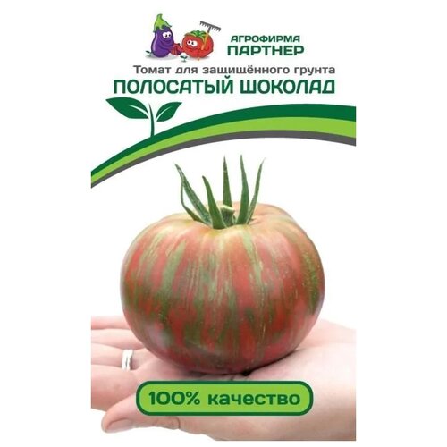 ������ ������ ������ ��������� ������� ������������� ����� ����� ��������� �������, 10 �� ����