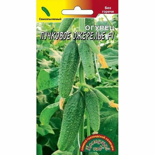 ������ ������ ������ ������ �������� �������� F1 ����, �����������, (�������� ���) 0,3� ����