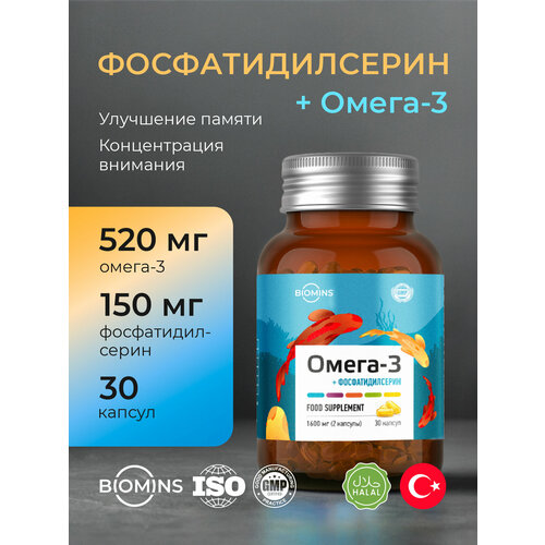 ������ ������ ��������������� � �����-3, ��� ������ ����� � ��������� ������, 30 ������ ����