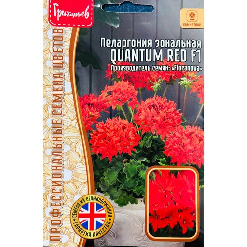 ������ ������ ������ ���������� ��������� 