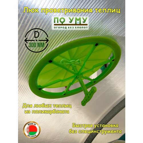 ������ ������ �������� ��� �������, �������� ��� ������� ������� 300 ��. ����