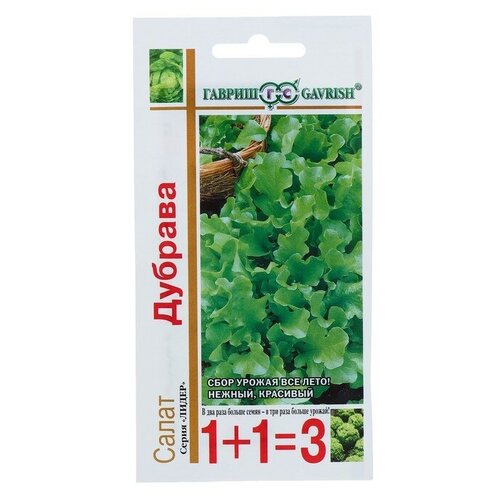 ������ ������ ����� �������� �������, ������ ������ ( 1 ��: 2,0 �) ����