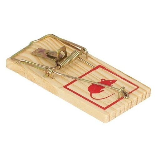 ������ ������ ��������� Mr. Mouse ���������� ������ 3 ��. ����