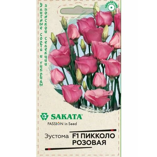 ������ ������ ������. ������� 