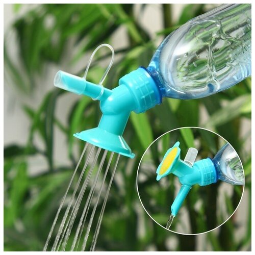 ������ ������ �������-������������ �� �������, ���� ���� ����