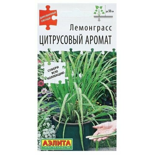 ������ ������ ������ ���������� 