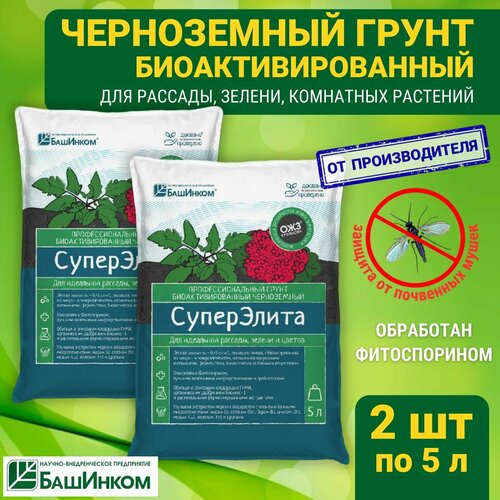 ������ ������ ����� ��� ������� ���������� ������������� ��� �������� , 2 �� � 5� , ����� ����� 10 � ����