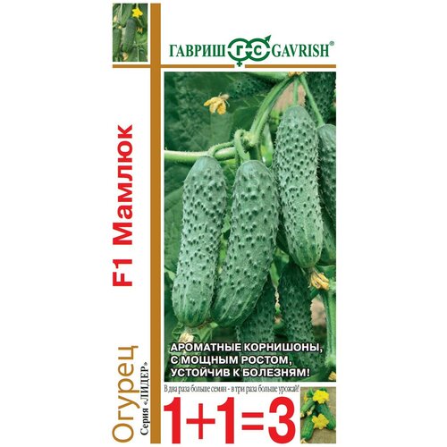 ������ ������ ������ ������ 1+1=3 ������ ������