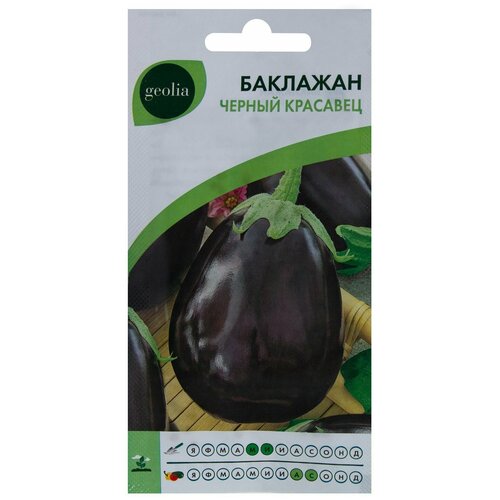 ������ ������ ������. �������� 