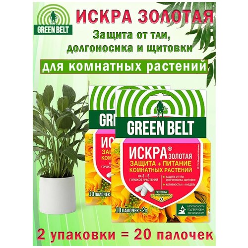 ������ ������ ����� ������� �������, ��������� ��� ��������� ��������, 2 �������� ����