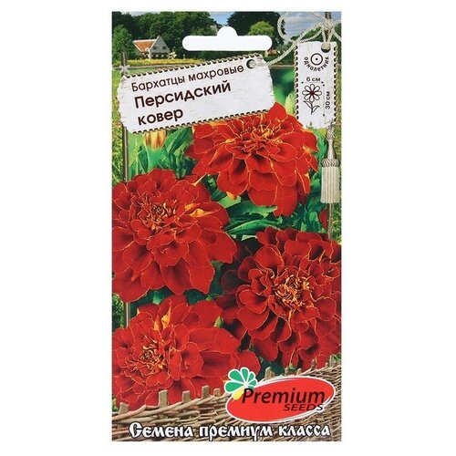 ������ ������ �������� �������� ���������� ���� (0,2 �), 2 ������ ����