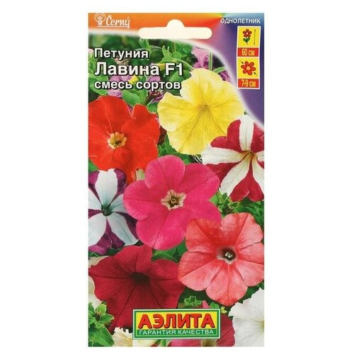 ������ ������ ������ ������ ������� 