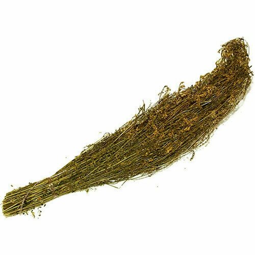 ������ ������ ����� �������� ���� �����, �� �������, ��� ����, ������ 2024 ����