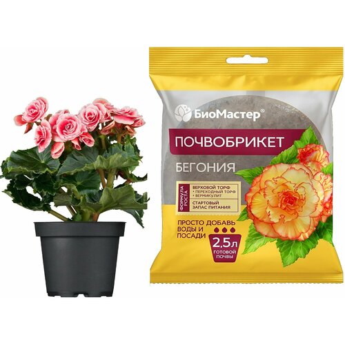 ������ ������ ����������� 