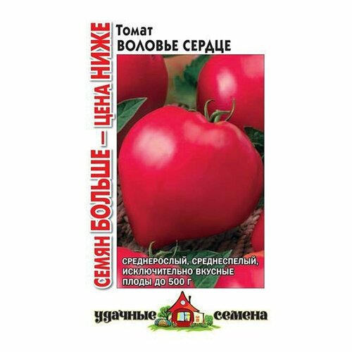 ������ ������ ������ ����� ������� ������ , ������������, (������) 5� (������� ������) ����� ������ ����