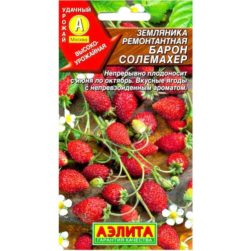 ������ ������ ������ ��������� 