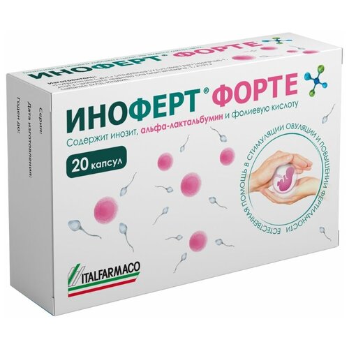 ������ ������ ������� ����� ������� 1650�� N20 ����