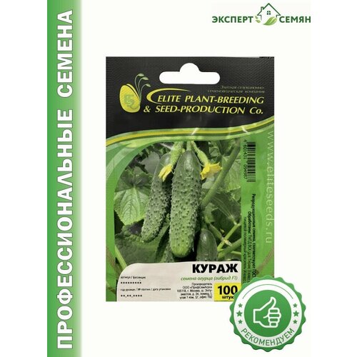 ������ ������ ������ ������ ����� F1 100 ����� � �������� (������) ����