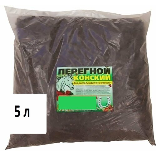 ������ ������ ��������� �������� ������� 5 �. ����������� ����� ��� ���������� �����. ����������� �����������, �������� ����������� � �������� �������� ������ ����