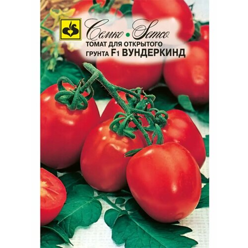 ������ ������ ������� ����� 