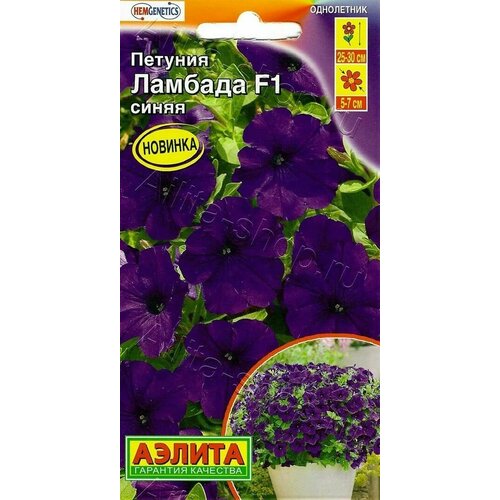 ������ ������ ������� �������������� ������� ����� F1 ( 1 �������� ) , ������ ����