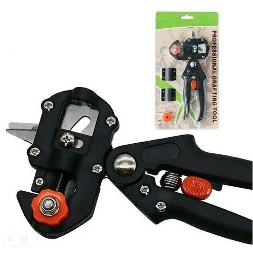 ������ ������ �������� ����