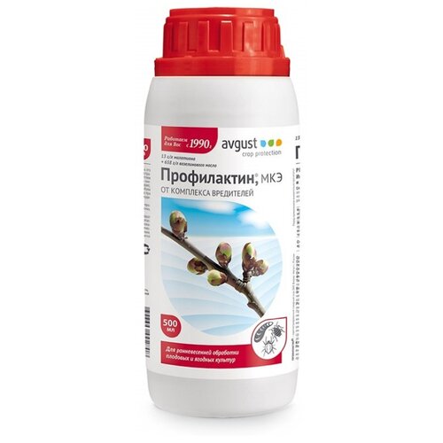 ������ ������ Avgust �������� �� ��������� ���������� ����������� ���, 500 ��, 500 � ����