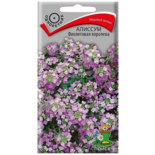 ������ ������ ������� ���������� �������� ����