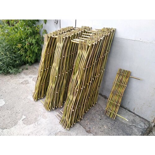 ������ ������ �������� ������������ �������� �� ����������� ���� ������� 