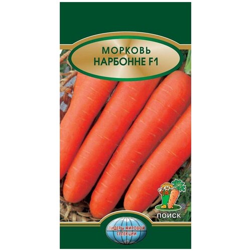 ������ ������ ������ ������� ����� ��������, 0.5 � ����