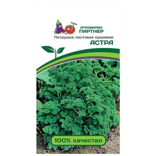 ������ ������ ������ �������� �������� �������� ������� ����� 3 �� ����