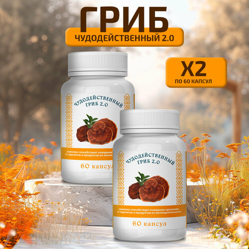 ������ ������ ��������������� ���� �� ��������� � �������� ����