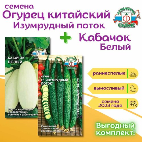 ������ ������ ������ ��������� ���������� ����� F1, 0,2 � + ������� ����� 2 �, ������ ������� � ������ �������� ����