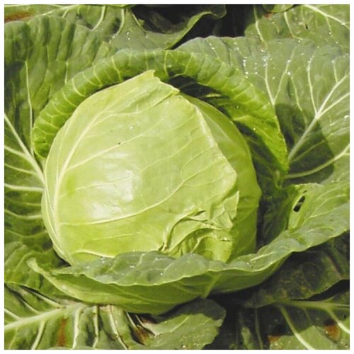 ������ ������ ������ ������ ������� ������������ �������� 30 ��. ����