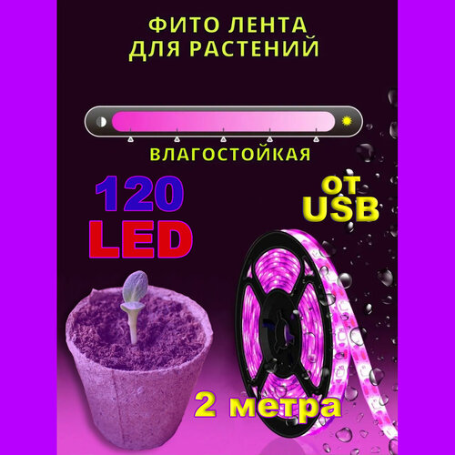 ������ ������ ��������� ��� ��������, 2 ����� ����