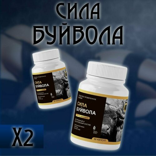 ������ ������ ����������� ��� ������ ���� �������, ��� �������� � ������ 2�� ����