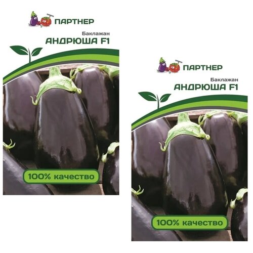 ������ ������ ������ �������� ������� F1 /��������� �������/ 2 �������� �� 10 ����� ����