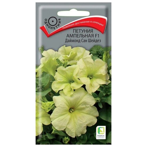 ������ ������ ������� ������� ��� ������ ��������� 5 � ����