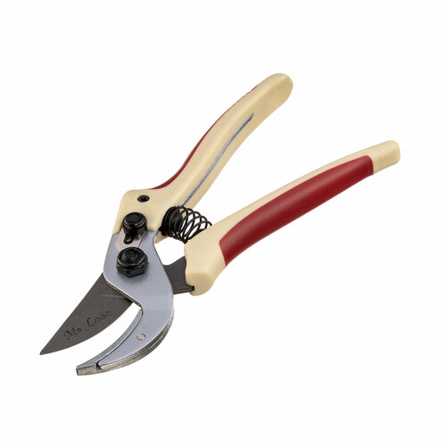 ������ ������ ������� ������� ���������������� � ����������� Mr.Logo ���. 1600� (���� �� 18 ��) ����