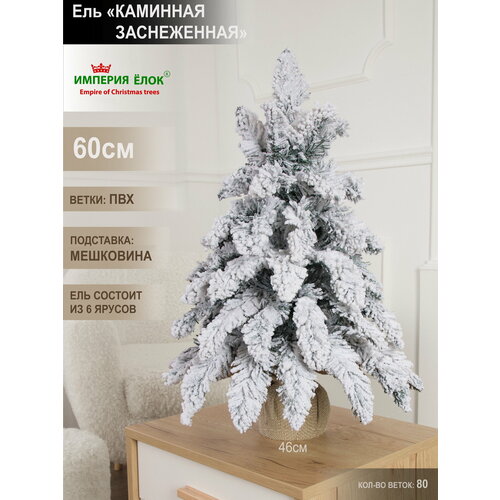 ������ ������ ���� ������������� ���������� ����������� ���������� 60�� ����