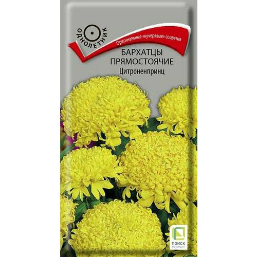 ������ ������ �������� ������������ ������������� 0,4 �����, ����� ����