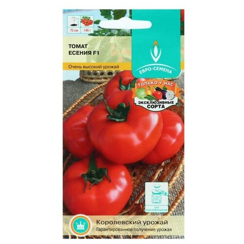 ������ ������ ������ ����-������ ����� ������ F1 10 ��. ����