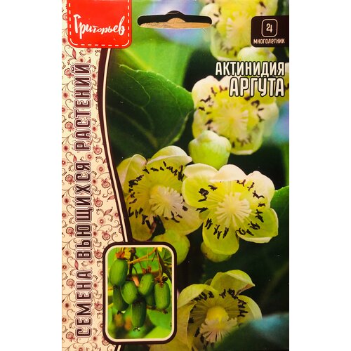 ������ ������ ������ ��������� 