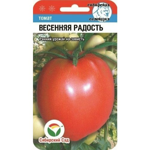 ������ ������ ������ ����� �������� ������� 20�� ����� (��������� ���) ����